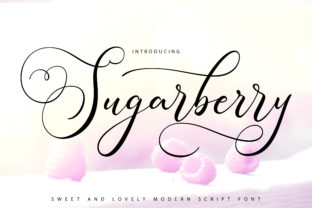 Choosing Sugarberry for Elegant Web Typography