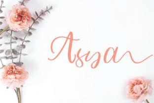 Elevate Web Design with the Asya Script Typeface