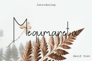 Megumareta: A Modern Serif Font for Elegant Design