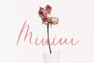 Minim: The Elegant Script Font for Modern Branding