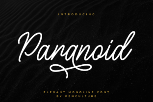 Paranoid: An Elegant Mono Line Typeface for Editors