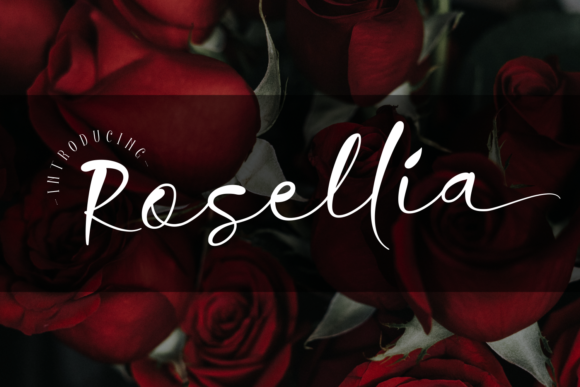 Rosellia: A Sharp Script Handwritten Font for Makers