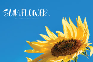 Sunflower Font: The Perfect Handwritten Typeface for Crafters