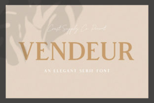 Vendeur Serif Font Review for Modern Campaigns