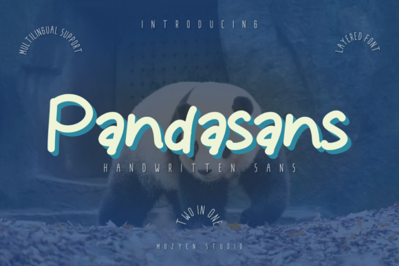 Why Pandasans is the Perfect Handwritten Font for Editorial Design
